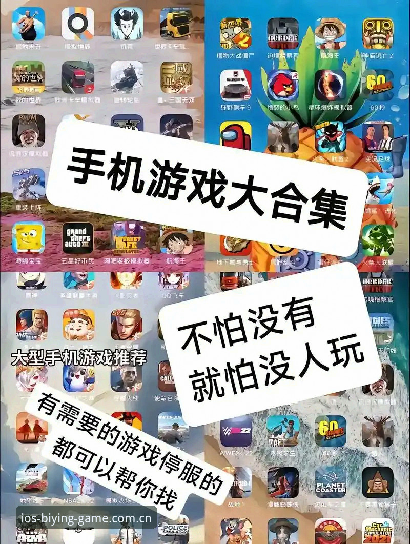 新手必看：必赢亚洲游戏官网手机版下载安装实战经验分享